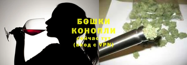 мет Ельня