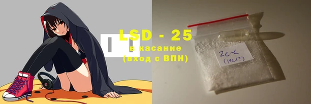 индика Осташков
