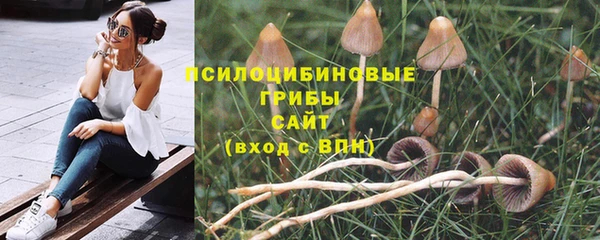 мет Ельня