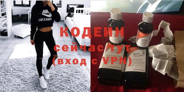 прущие крисы Елизово