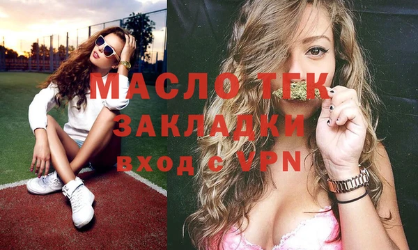 мет Ельня