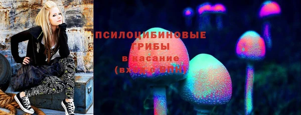мет Ельня