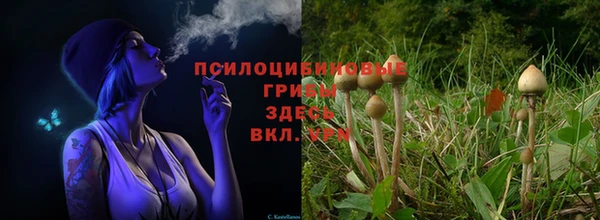 метадон Аксай