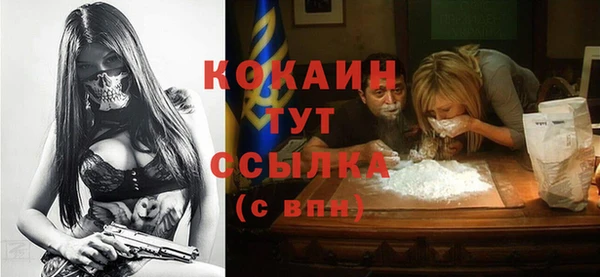 мет Ельня