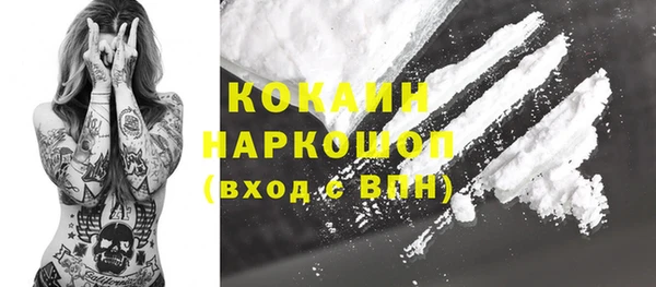 мет Ельня